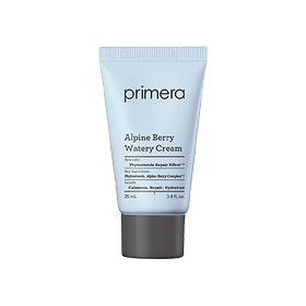 알파인베리 워터리 크림 25ml